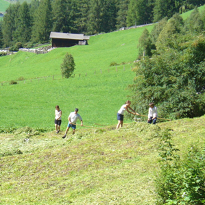 Politica ed instituziuns agraras / diversa