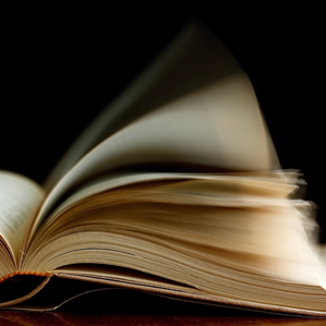 Texts curts, columnas e blogs