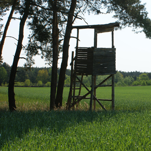 Selvaschina en general / chatscha