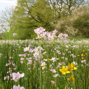 Biotops e spazis vitals en general