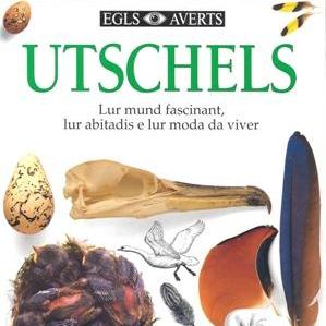 Utschels