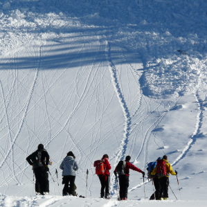 Jodel, tipografia e lavinas