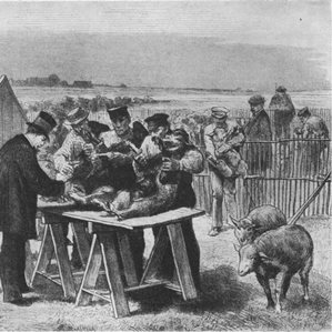 Tractament sanitar dals animals