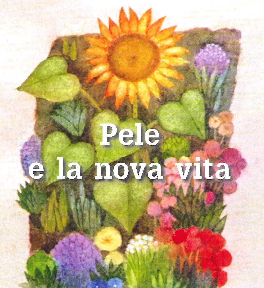 Pele e la nova vita