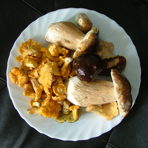 Cuschinar cun bulieus