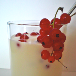 Jogurt