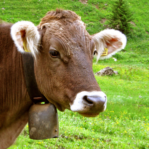 Agricultura e geoinfurmaziun