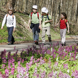 Ir ad acla e gita a Selva