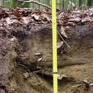 Il ciclus da la materia