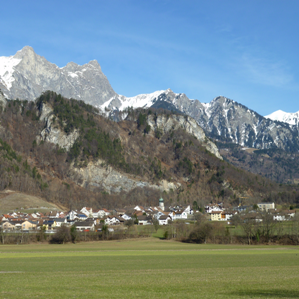 Fläsch