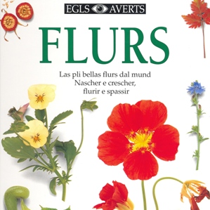 Flurs