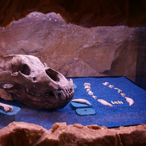 Museum Poscht-Chäller