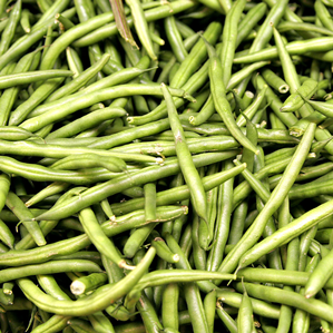 Bagiauna d'iert