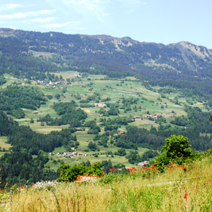 Mantogna