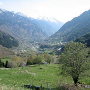Mesolcina
