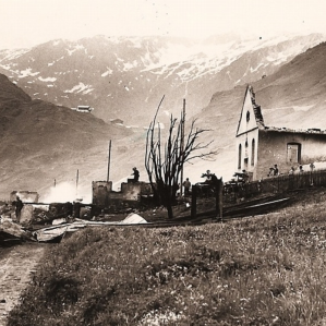 Selva