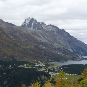 Malögia