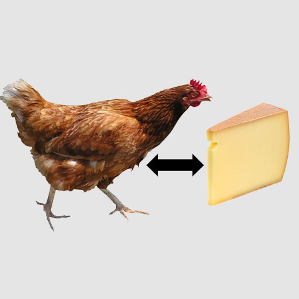 L'istorgia dals daners