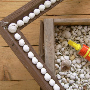 Zambregiar cun urden dal guaud