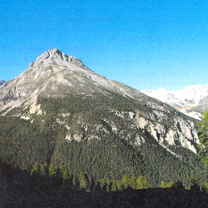 Explorar il Parc naziunal