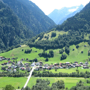 Surrein