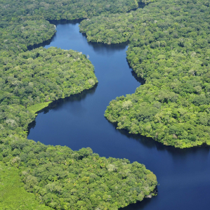 Aguirre, der Zorn Gottes