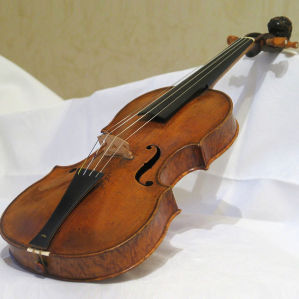 Violina