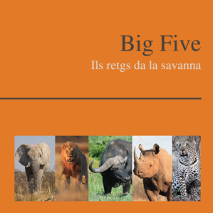 Big Five