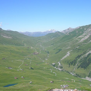 Fondei