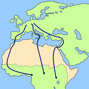 La migraziun dals utschels